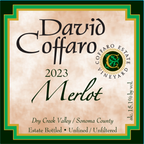 Merlot 2023 / Aged 10 Months