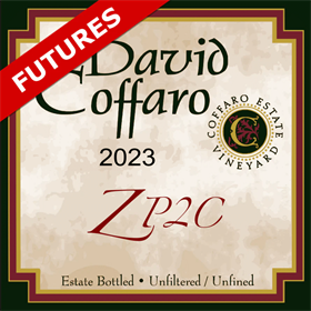 ZP2C Futures 2023 / Aged 16 Months