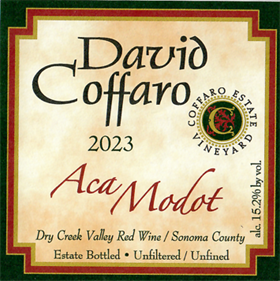 Aca Modot 2023 / Aged 16 Months