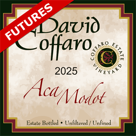 Aca Modot Futures 2025