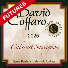 Cabernet Sauvignon Futures 2025