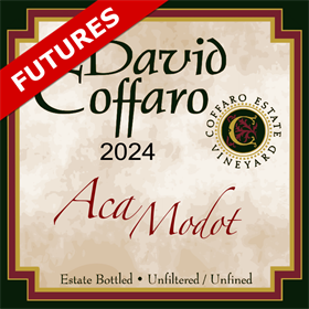 Aca Modot Futures 2024 / Aged 16 Months