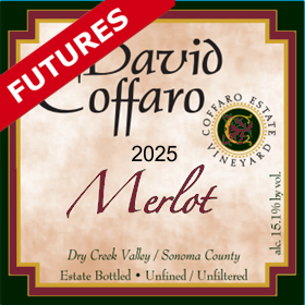 Merlot Futures 2025