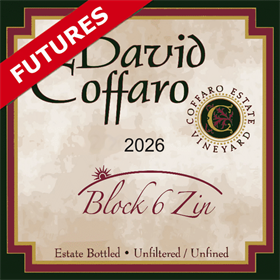 Block 6 Zin Futures 2026