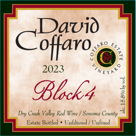 Block 4 2023 / Aged 16 Months