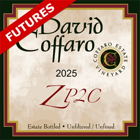 ZP2C Futures 2025