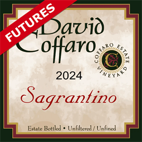 Sagrantino Futures 2024 / Aged 16 months