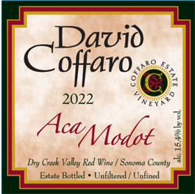 Aca Modot 2022 / Aged 16 Months