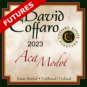 Aca Modot Futures 2023 / Aged 16 Months