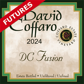 DC Fusion Futures 2024 / Aged 10 Months