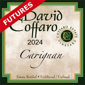 Carignan Futures 2024 / Aged 10 Months