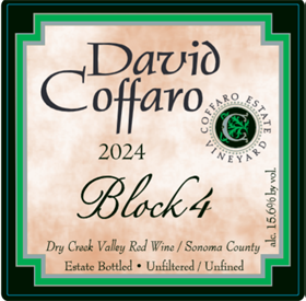 Block 4 2024 / Aged 10 Months