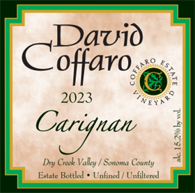 Carignan 2023/ Aged 10 Months