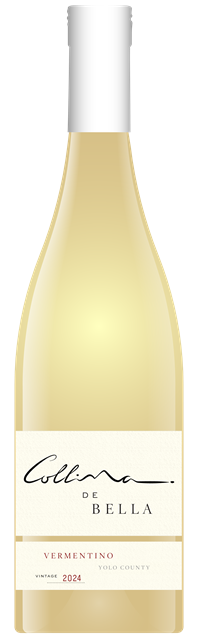 Vermentino 2024
