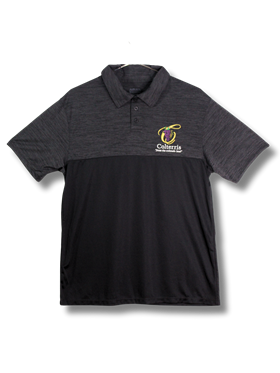 Colterris Men's Polo