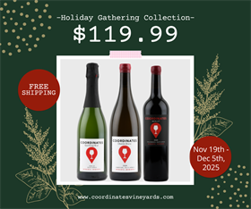 Holiday Gathering Collection