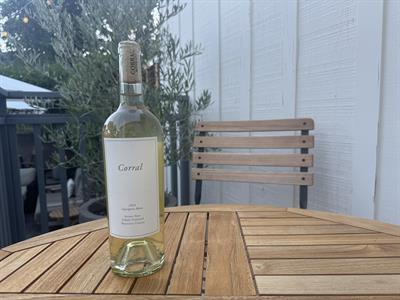 2024 Sauvignon Blanc Zabala Vineyard