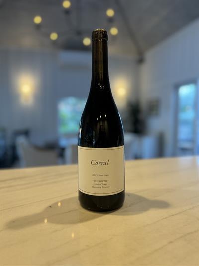 2022 The HIPPIE Pinot Noir