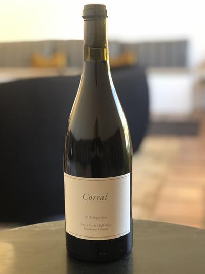 2022 Pinot Noir Santa Lucia Highlands