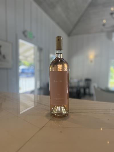 2025 Rosé of Pinot Noir