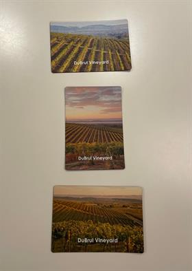 Vineyard Magnet