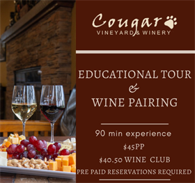 Winery Tour