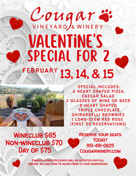 Valentine's Day For Two