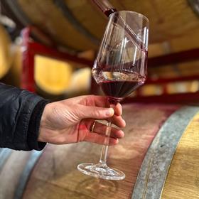 The Very Barrely Barrel Tasting - Member