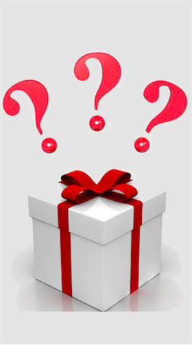 Holiday Mystery Case