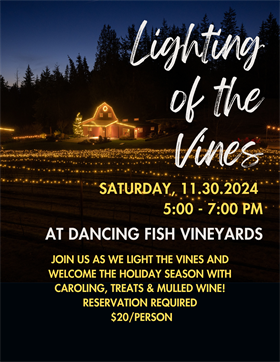 11/30/24 - Lighting of the Vines