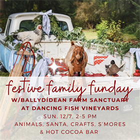 12/07/2025 - Festive Family Funday at Dancing Fish Vineyards