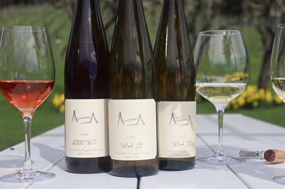 Spring Collection 2026