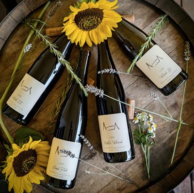 Discovery Series ~ 4 Pack $85