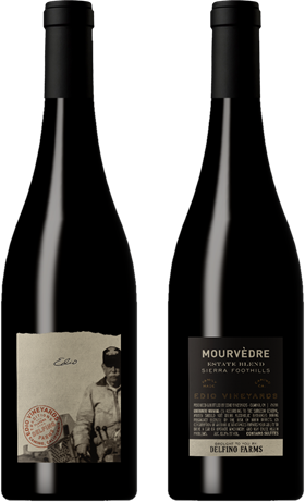 NEW RELEASE 2024 Mourvèdre
