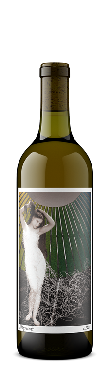2024 Fragment Sauvignon Blanc
