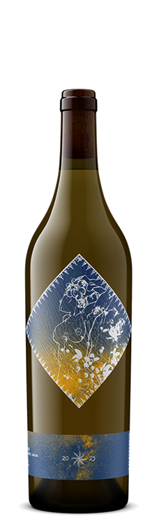 2023 Amphora Sauvignon Blanc