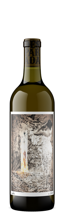 2025 Suitor Sauvignon Blanc