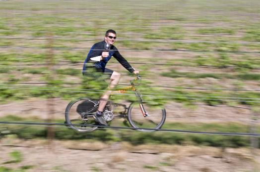 Horizantal, Vintage 2020