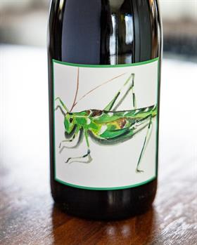 2022 Katydid