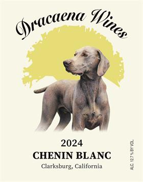 2024 Chenin Blanc