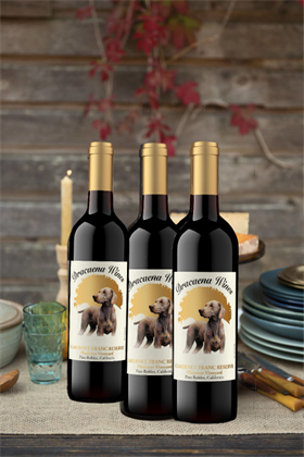 Reserve Plummer Vineyard Early Years Vertical