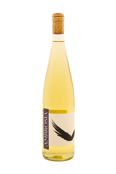 Ambrosia