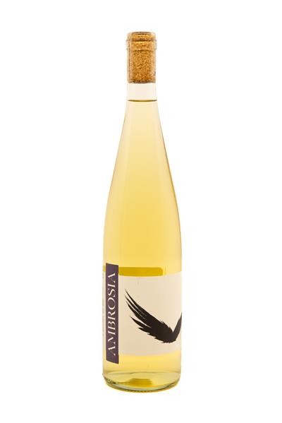 Ambrosia