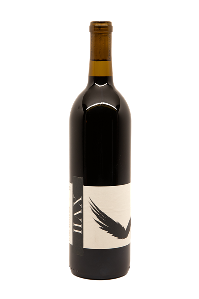 2021 XVII