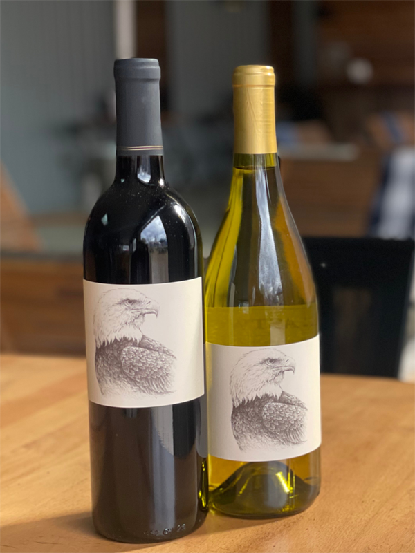 Buddy the Bald Eagle Bundle