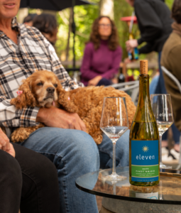 2025 Pinot Grigio