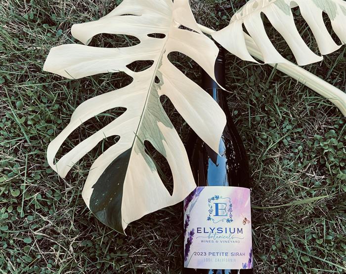 2023 Petite Sirah