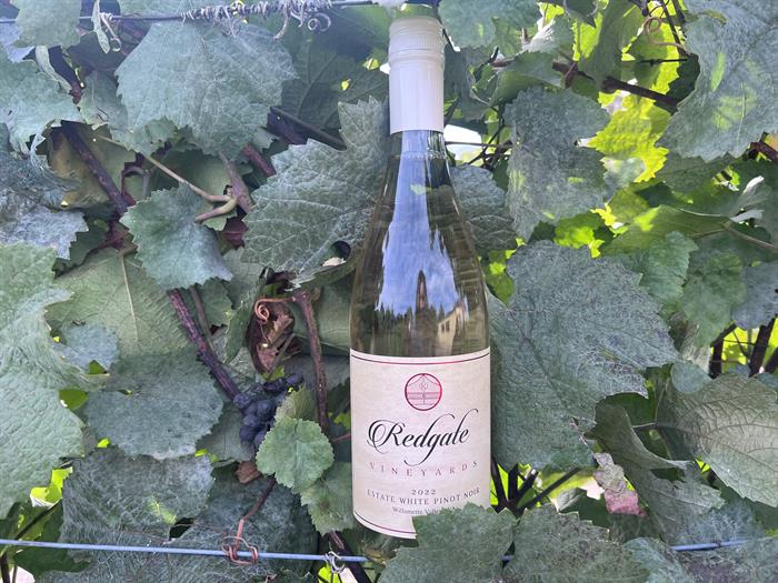 2022 Estate White Pinot