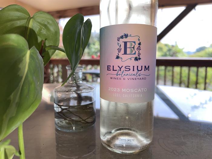 2023 Muscato