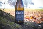Eternal Sunshine 2024 Viognier